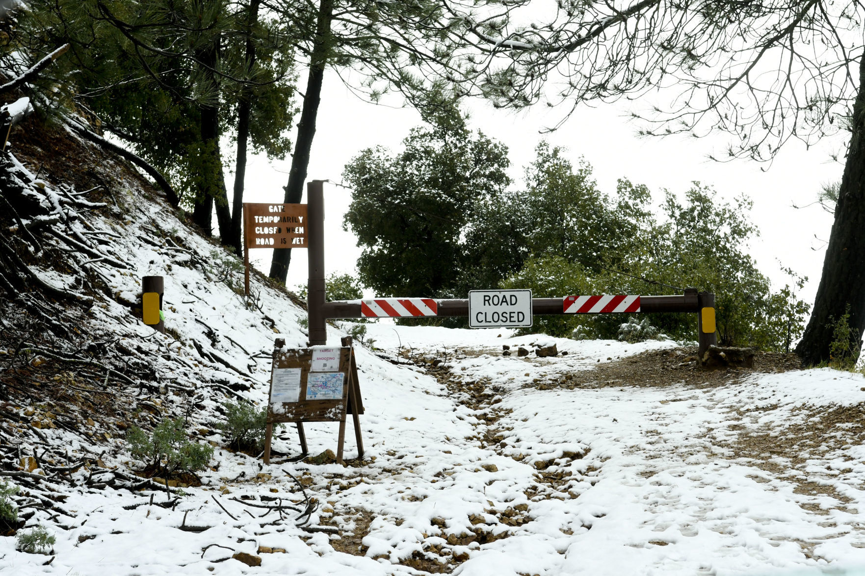 031720 Snow Figueroa Mountain 07.jpg